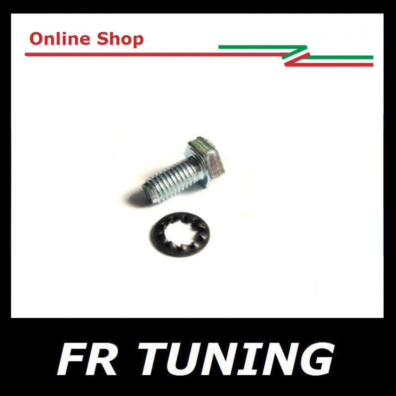 BULLONE E RONDELLA FISSAGGIO CERNIERA PORTA FIAT 500 F L R