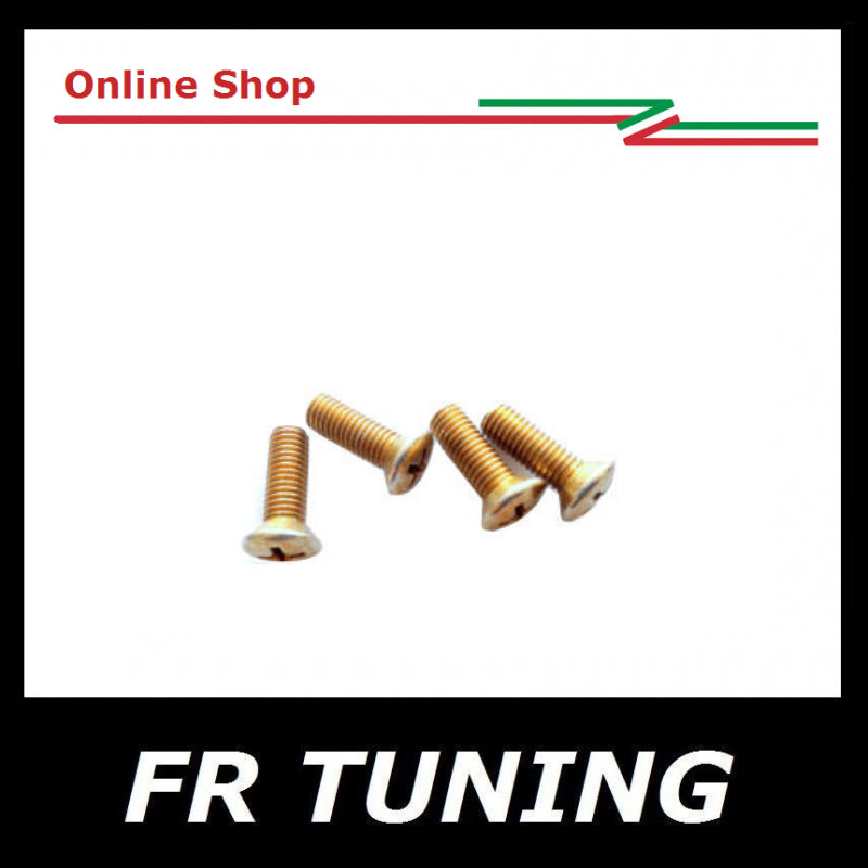 KIT 4 VITI FISSAGGIO MANIGLIE INTERNE TIRA PORTA FIAT 500