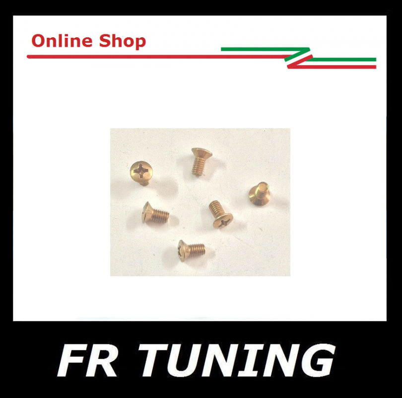 KIT VITI SERRATURA PORTA FIAT 500