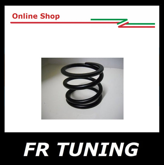 MOLLA SUPPORTO MOTORE FIAT 126