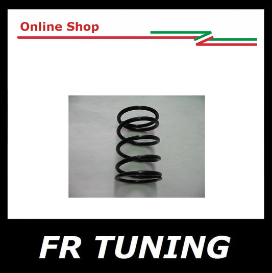 MOLLA SUPPORTO MOTORE FIAT 500 N D F L