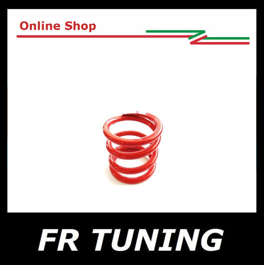 MOLLA SUPPORTO MOTORE RINFORZATA FIAT 500 F L