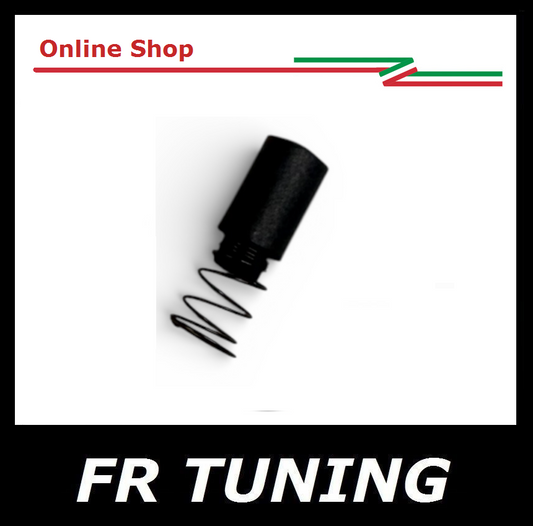 CARBONCINO PER CALOTTA SPINTEROGENO FIAT 500 N D F L R