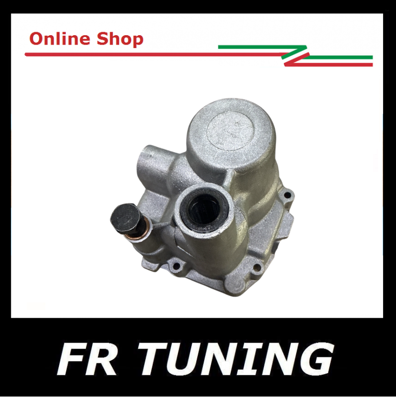 Coperchio Posteriore Scatola Cambio Fiat 500 126 con paraolio